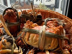 -蟹村草堂·苏式园林人文农家·大闸蟹