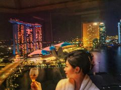 -新加坡丽思卡尔顿美年酒店