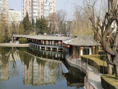 -团结湖公园