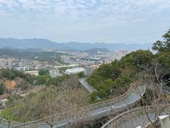 -福道