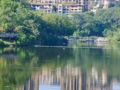 -重庆彩云湖湿地公园