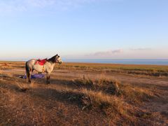 -青海湖国家重点风景名胜区