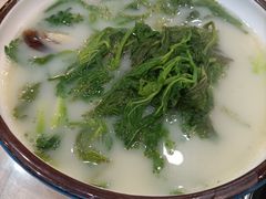 -喜上喜鸡煲翅(吉大店)