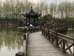 -合肥滨湖国家森林公园