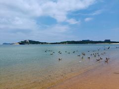 -海驴岛(荣成市)