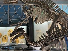 -湖南省地质博物馆