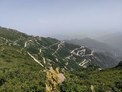 -白草畔自然风景区