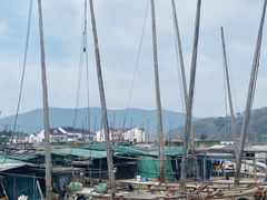 -苏州太湖国家湿地公园