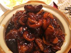 -老吉士酒家(天平路店)