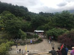 -南诏风情岛