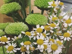 -豆豆花艺(新光天地店)