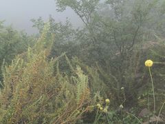 -鸡鸣山旅游景区