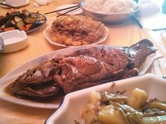 -亿利库布其七星湖沙漠生态旅游区