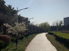 -南京信息职业技术学院