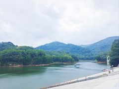 -阳台山森林公园