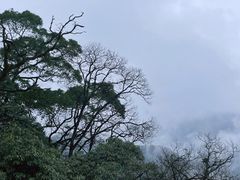 -青城山