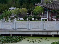 -莲湖公园