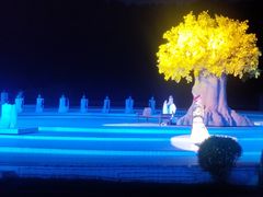 -鼎盛王朝康熙大典实景演出
