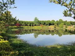 -武汉紫薇都市田园