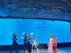 -海合安成都极地海洋公园