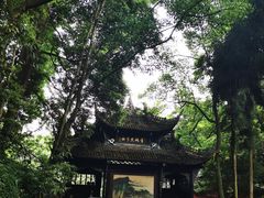 -青城山