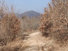 -沈阳辉山风景区