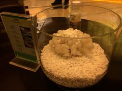 -三亚凤凰水城凯莱度假酒店