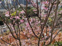 -小南山公园