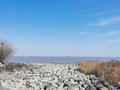-上海吴淞炮台湾国家湿地公园