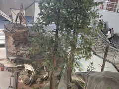 -湖南省地质博物馆