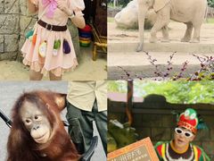 -杭州野生动物世界