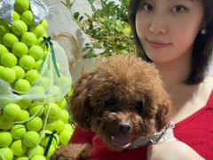 -Tennislife Point网球学练馆(曲江馆)