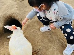 -前小桔亲子创意农场·草莓采摘·露营烧烤