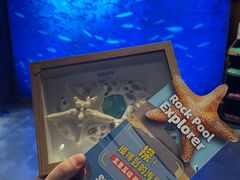 -沈阳海洋探索中心