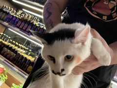 -M99 BEER世界啤酒吧(鸿云悦街店)