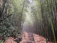 -四明湖