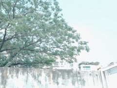 -太古仓码头