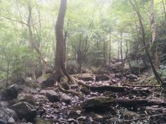 -白云源风景区