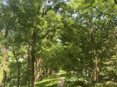 -元大都城垣遗址公园