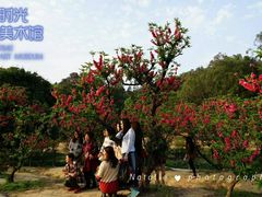 -南国桃园旅游度假区