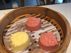 -点都德·毕德寮