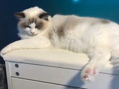 -零纪元VR体验馆·桌游(黄浦店)