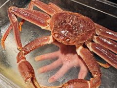 -珍宝海鲜JUMBO Seafood(尚嘉店)