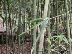 -杭州黄龙洞
