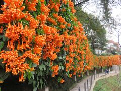 -桃花涧