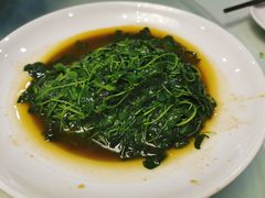 酒香金花菜-禧福楼·十五年老店(科技城店)