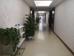 -维倪月子会所(独栋庭院·南海店)
