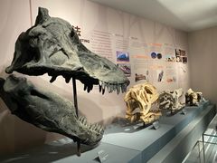 -自贡恐龙博物馆