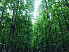 -上海怡沁园度假酒店