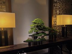 -晓长安·新陕菜(曲江店)